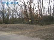 VENTA FINCA CUETO ZONA LA MATA