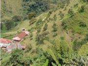 VENTA FINCA DUPLEX VEREDA LLANITOS VILLAMARIA