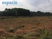 VENTA FINCA EDIFICABLE ARGANZA