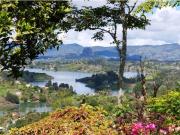 Venta Finca El Peñol Vereda La Chapa Antioquia