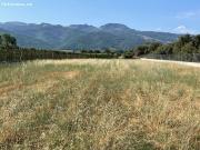 VENTA FINCA EN DEHESAS EL BIERZO