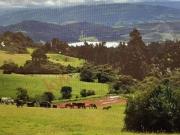 Venta Finca en la Vereda Tierra Negra Sesquilé...