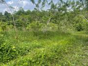 Finca, 25 hectáreas, de venta en Puerto Quito....