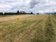 VENTA FINCA EN SAN ANDRES DE MONTEJOS