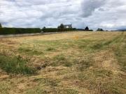 VENTA FINCA EN SAN ANDRES DE MONTEJOS