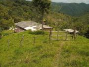 Venta Finca en San Roque Antioquia