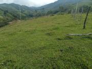 Venta Finca Ganadera Barbosa Antioquia