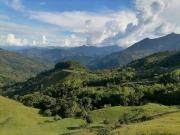 Venta Finca Ganadera Cocorná Antioquia
