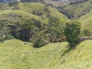 Venta Finca Ganadera en Caracolí Antioquia