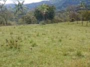 Venta Finca Ganadera en Cocorná Antioquia