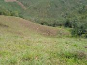 Venta Finca Ganadera Maceo Antioquia