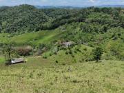Venta Finca Ganadera Maceo Antioquia