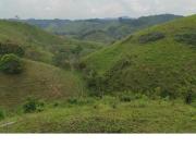 Venta Finca Ganadera Maceo Antioquia