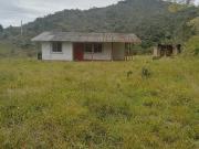 Venta Finca Ganadera Santo Domingo Antioquia