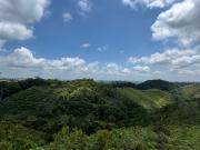 Venta Finca Ganadera y Agrícola en Maceo Antioquia