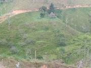 Venta Finca Ganadera y Agrícola en San Roque Antioquia