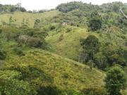 Venta Finca Ganadera y Agrícola San Roque Antioquia