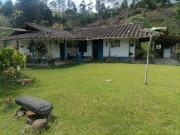 Venta Finca Ganadera y Agrícola Santo Domingo Antioquia