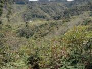 Venta Finca Ganadera y Agrícola Santo Domingo Antioquia