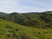 Venta Finca Ganadera Yolombó Antioquia