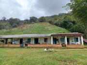 Venta Finca para Agricultura y Ganadería en Alejandría...