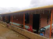 Venta Finca pequeña Agrícola y Ganadera San Roque Antioquia