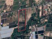 VENTA FINCA PRODUCTIVA 12 HA ALGARROBAL MENDOZA
