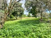 VENTA FINCA PRODUCTIVA AGUA PROPIA LA MESA CUNDINAMARCA 9762