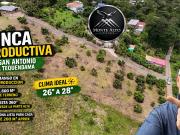 VENTA | Finca productiva de 5.800 m² con mango en...