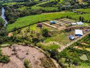 VENTA FINCA PRODUCTIVA EN MONIQUIRÁ – BOYACÁ