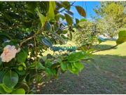 Venta finca rústica próxima a las playas en Carballo