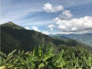 Venta Finca Salamina, Cadas