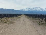 VENTA FINCA SAN CARLOS