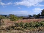 VENTA FINCA URBANA EN CAMPELO