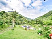 Venta Finca Vereda el Guineo, Neira, Caldas