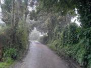 Venta Finca Vereda El Hato, Choachí, Cundinamarca