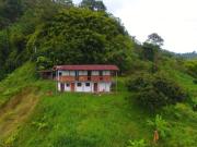 VENTA FINCA VEREDA TABOR SAN PEREGRINO | FINCA EN MANIZALES