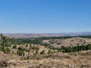 Venta Fraccion 15 Hectareas arroyo Athos Pampa