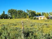 VENTA GRAN TERRENO ALBERDI Y EL FORTIN SAN RAFAEL