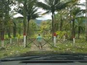 VENTA HACIENDA QUININDÉ KM35 VÍA VICHE SECTOR EL ROTO,...