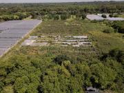 Venta Hectáreas en Villa Elisa