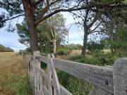 VENTA HECTARES MEDANOS SOBRE LA RUTA 22