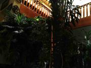 Venta hermosa casa San Jerónimo Lídice