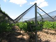 Venta! Hermosa finca de 49 has. Y 2 casas en colonia...