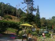 VENTA HERMOSA FINCA TURISTICA CON ALOJAMIENTO RURAL