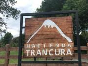 VENTA HERMOSA PARCELA 1 HA ALTO TRANCURA PUCON
