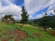 VENTA HERMOSA PARCELA TEMUCO