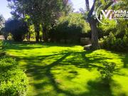 VENTA HERMOSO CAMPO 20000MTS EL TAMBO
