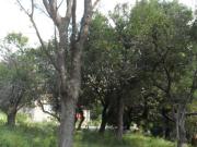 VENTA HERMOSO LOTE AL PIE DE LA MONTAÃA CORTADERAS SAN LUIS VENTA HERMOSO LOTE AL PIE DE LA MONTAÃA CORTADERAS SAN LUIS