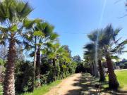 Venta Linda Parcela 1 Casa +negocio Recreacional María Pinto